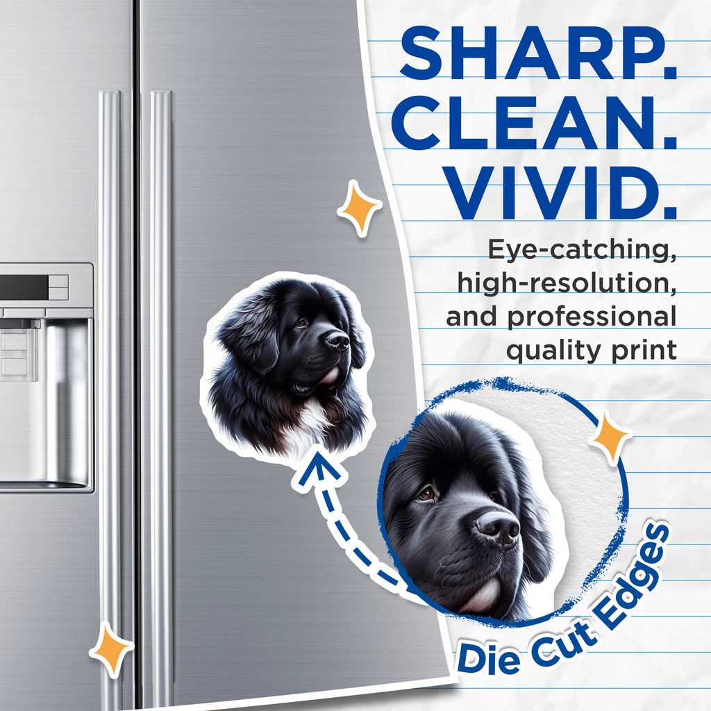 (2 Pack) Newfoundland Dog Magnets - Large Breed Pet Lover Decor - Majestic Canine Art - Dog Mom Dad Fridge Locker Accessory - 5 Inches On Longest Side - Thick Durable Magnet - Made in USA - MAG39545