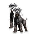 (2 Pack) Black Schnauzer Magnets - Dog Breed Art - Pet Lover Refrigerator Accent for Schnauzer Parents - 5 Inches On Longest Side - Thick Durable Magnet - Made in USA - MAG30196
