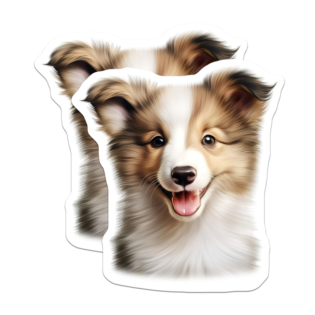 (2 Pack) Shetland Sheepdog Puppy Magnets - Adorable Dog Lover Art - Pet Mom Dad Refrigerator Decor - 5 Inches On Longest Side - Thick Durable Magnet - Made in USA - MAG28474