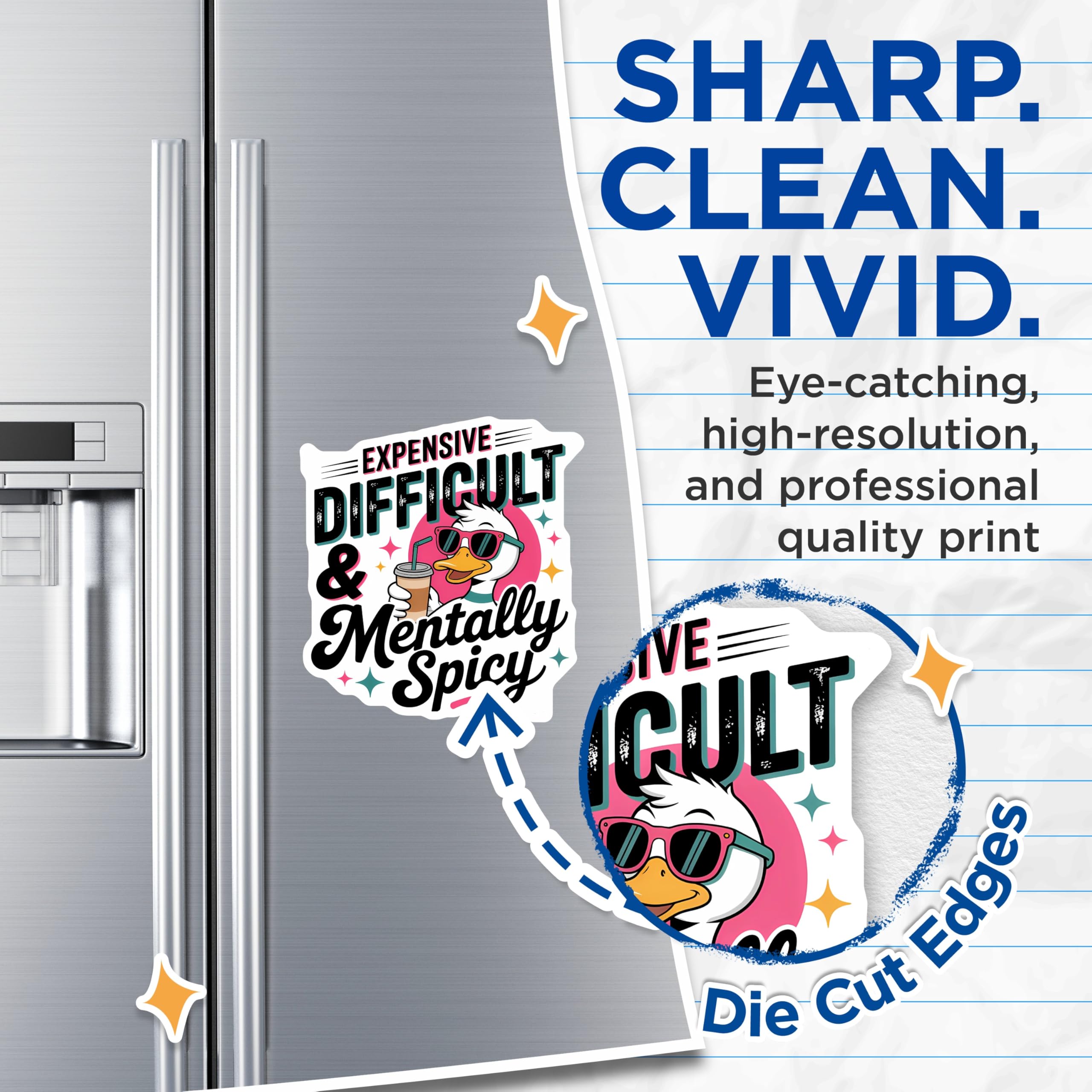 (2 Pack) Difficult Duck Magnets - Mentally Spicy - Expensive Duck with Sunglasses Magnets - 5" On Longest Side - Premium Magnet - for Cars, Refrigerators, Toolboxes, Lockers - Made in USA - MAG17078