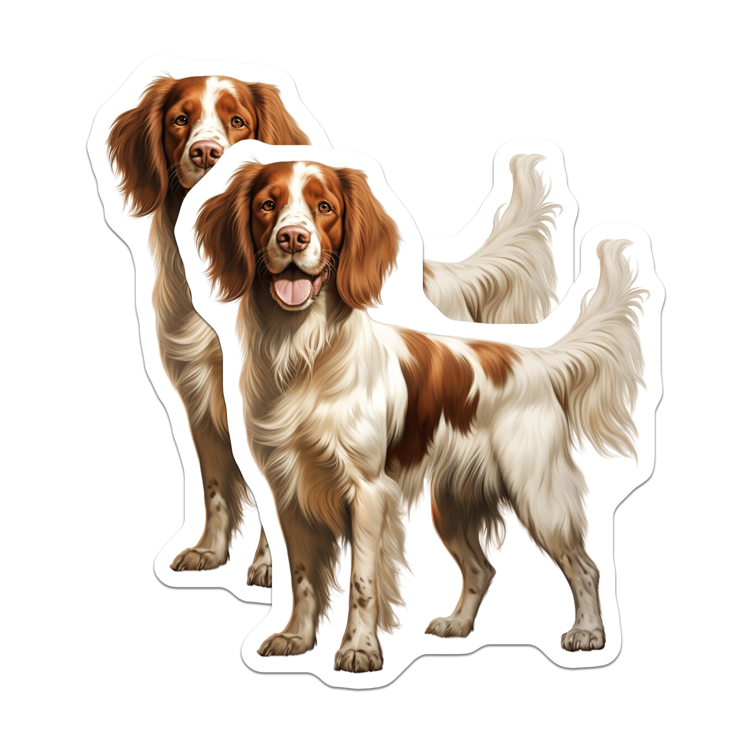 (2 Pack) English Springer Spaniel Magnets - Loyal Companion Dog Decor - Happy Brown White Pet Display - 5 Inches On Longest Side - Thick Durable Magnet - Made in USA - MAG23489