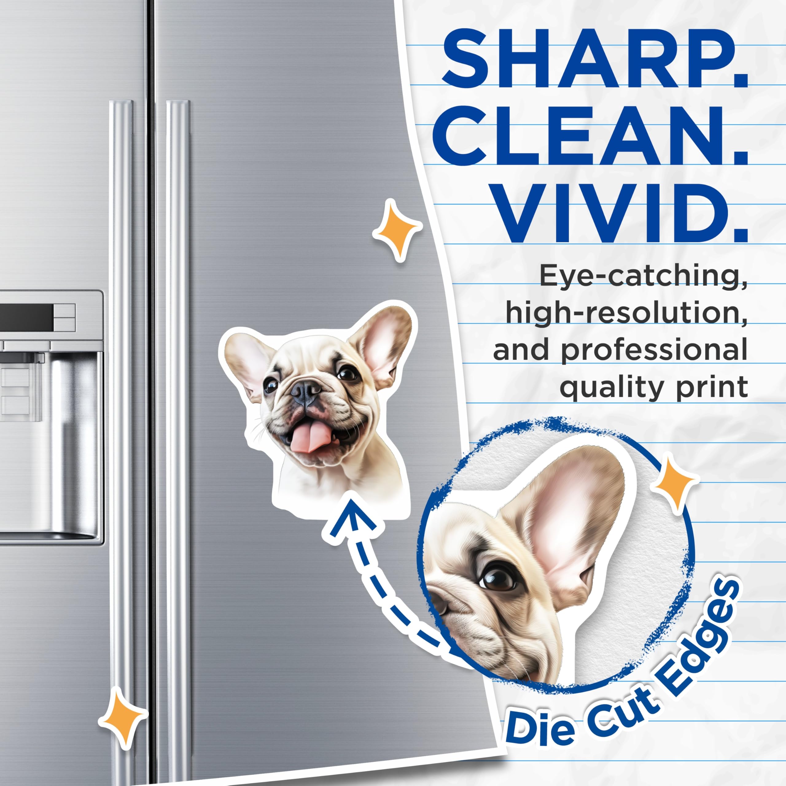 (2 Pack) Cute French Bulldog Puppy Magnets - Dog Lover Pet Decor - Fridge Locker Animal Decal - 5 Inches On Longest Side - Thick Durable Magnet - Made in USA - MAG28313