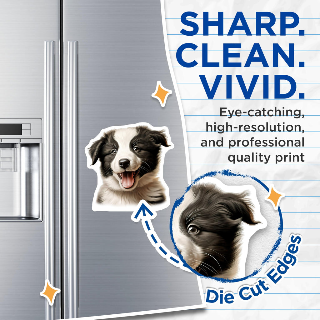 (2 Pack) Border Collie Puppy Magnets - Cute Dog Refrigerator Decor - Pet Owner Kitchen Accessories - 5 Inches On Longest Side - Thick Durable Magnet - Made in USA - MAG28045