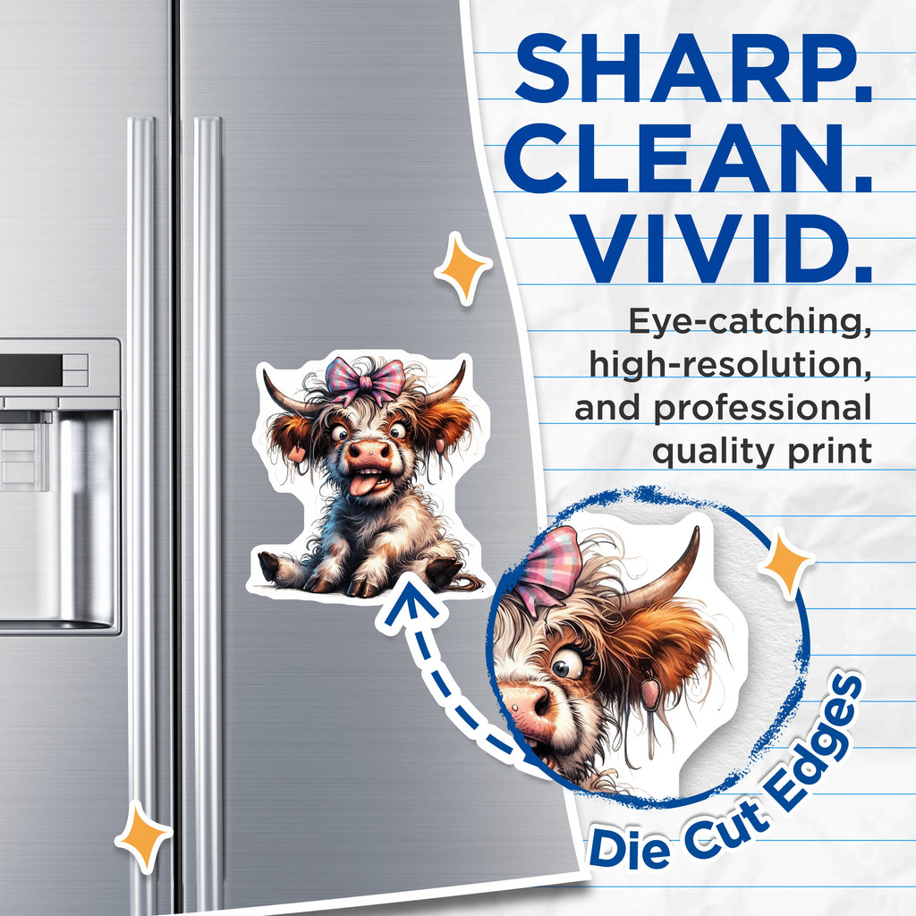 (2 Pack) Goofy Highland Cow Magnets - Cute Fluffy Calf Decor - Funny Farm Animal Refrigerator Locker Magnet - 5 Inches On Longest Side - Thick Durable Magnet - Made in USA - MAG39373