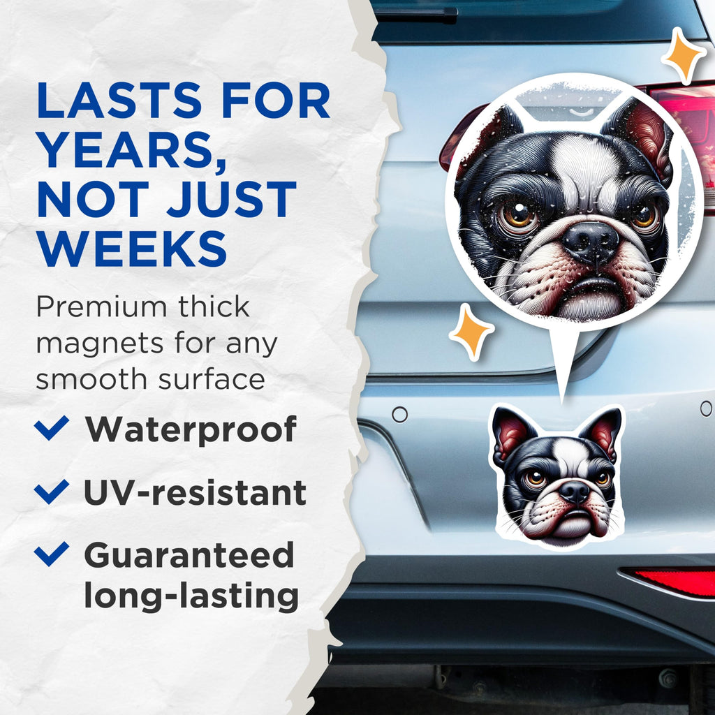 (2 Pack) Boston Terrier Magnets - Dog Lover Decor - Fridge Locker Magnets - 5" On Longest Side - Premium Magnet - for Cars, Refrigerators, Toolboxes, Lockers - Made in USA - MAG14464