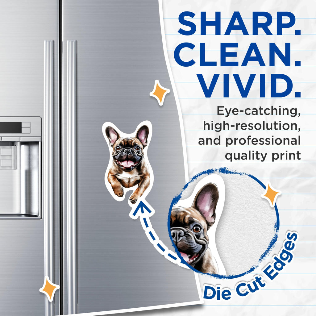 (2 Pack) French Bulldog Magnets - French Bulldog Dog Breed Magnets - Frenchie Breed - 5 Inches On Longest Side - Premium Magnet - for Cars, Refrigerators, Toolboxes - Made in USA - MAG2187