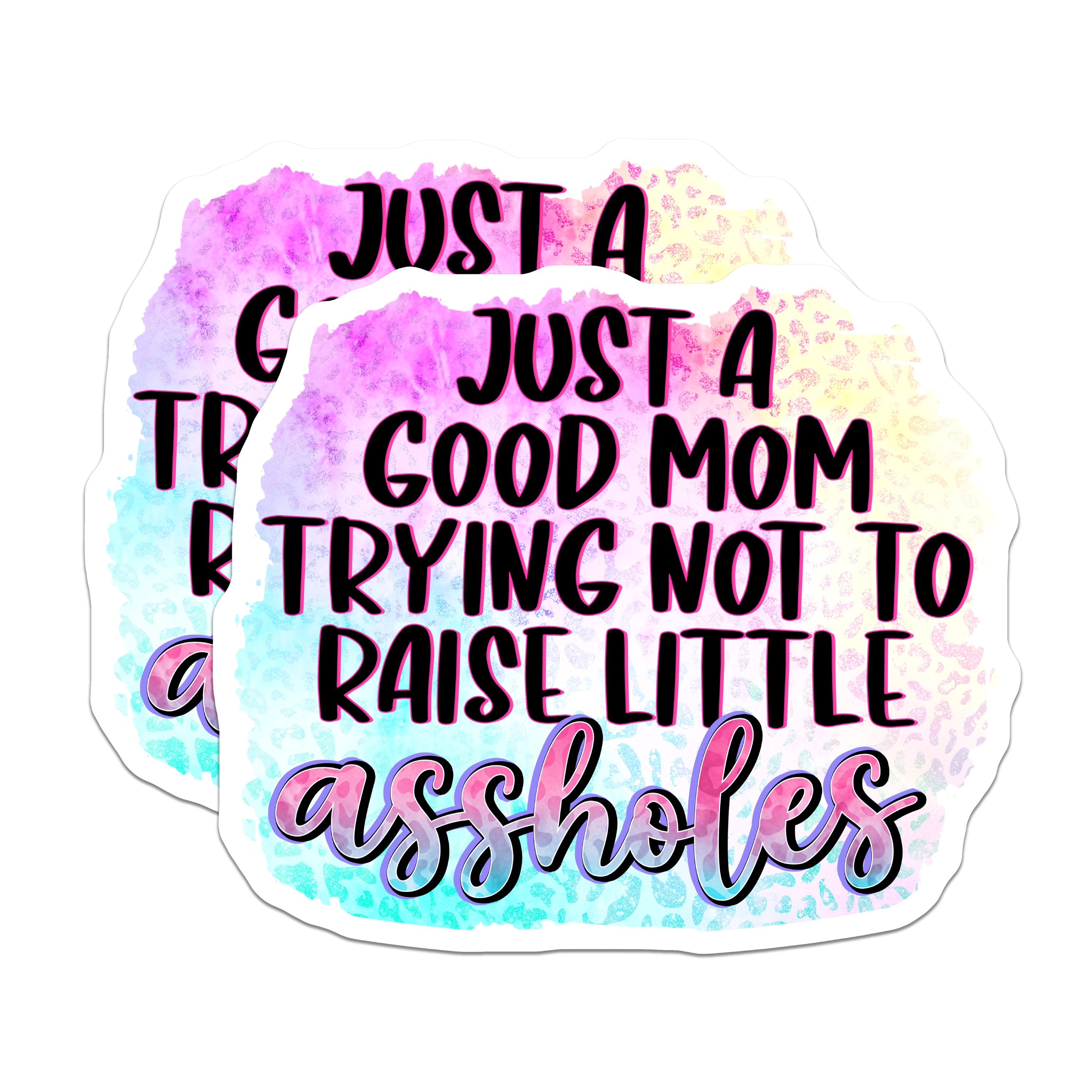 (2 Pack) Sassy Mom Magnets - Funny Parenting Humor - Cool Motherhood Quote - Refrigerator Decor - 5 Inches On Longest Side - Thick Durable Magnet - Made in USA - MAG36814
