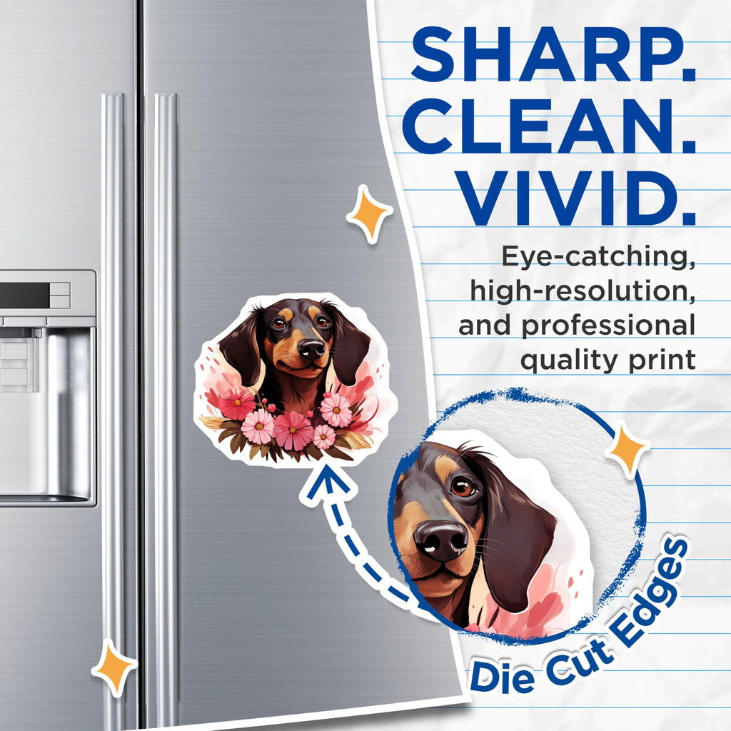 (2 Pack) Dachshund Dog Magnets - Adorable Floral Doxie Art Design - Pet Lover Refrigerator Home Kitchen Decor Accessory - 5 Inches On Longest Side - Thick Durable Magnet - Made in USA - MAG24314