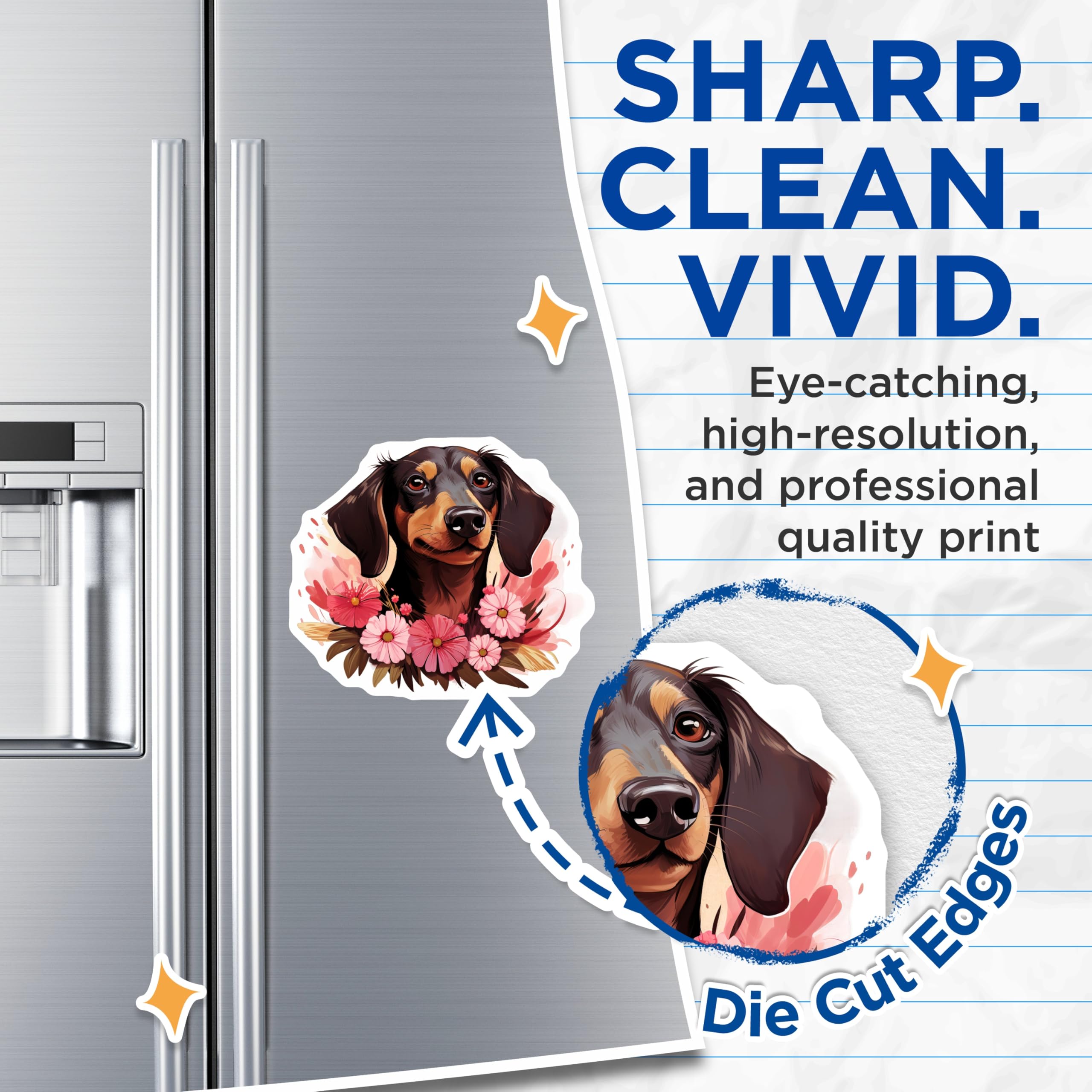 (2 Pack) Dachshund Dog Magnets - Adorable Floral Doxie Art Design - Pet Lover Refrigerator Home Kitchen Decor Accessory - 5 Inches On Longest Side - Thick Durable Magnet - Made in USA - MAG24314