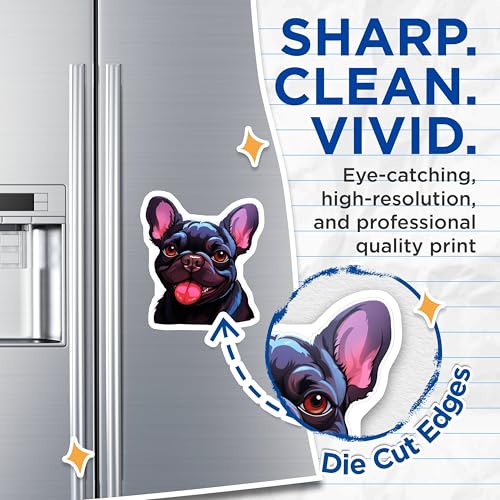 (2 Pack) French Bulldog Magnets - Dog Lover - Cute Pet Magnets - 5" On Longest Side - for Cars, Fridges, Toolboxes - Made in USA - MAG3938