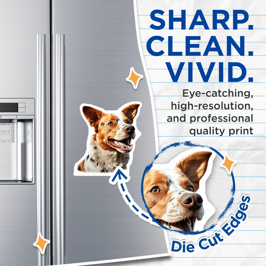 (2 Pack) Happy Spotted Dog Portrait Magnets - Joyful Canine Companion Display - Vibrant Animal Lover Refrigerator Art - 5 Inches On Longest Side - Thick Durable Magnet - Made in USA - MAG24485