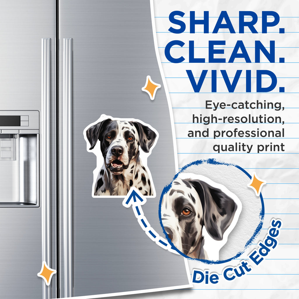 (2 Pack) Spotted Dog Portrait Magnets - Pet Lover Gift Idea - Refrigerator Decor - Cute Animal Fridge Magnet - 5 Inches On Longest Side - Thick Durable Magnet - Made in USA - MAG39119