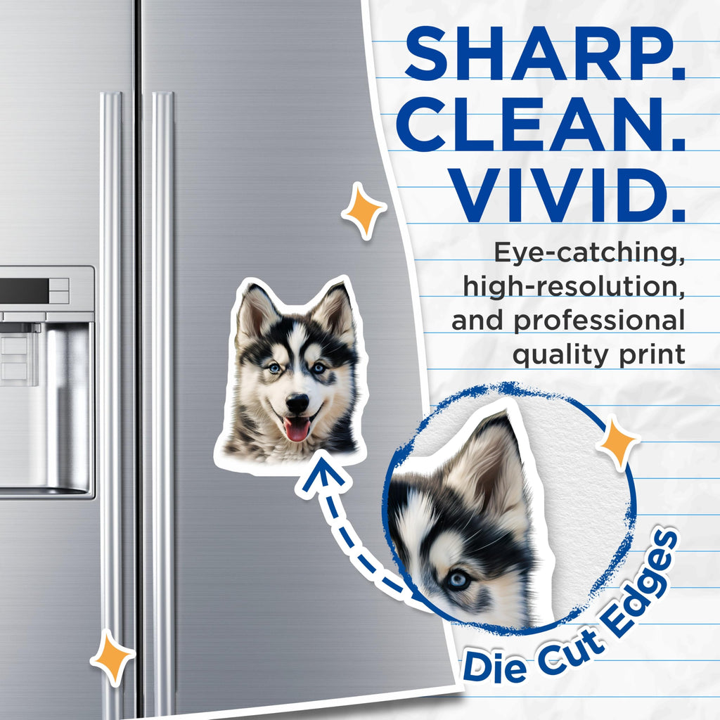 (2 Pack) Siberian Husky Puppy Magnets - Adorable Blue Eyed Dog Decor - Animal Lover Fridge Accent - 5 Inches On Longest Side - Thick Durable Magnet - Made in USA - MAG23626