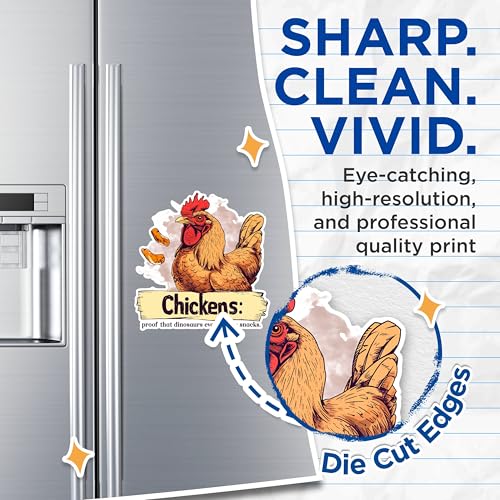 (2 Pack) Chicken Evolution Magnets - Funny Chicken Snack Magnets - Quirky Kitchen Decor Magnets- 5" On Longest Side - for Fridges, Toolboxes, Cars - Made in USA - MAG2593