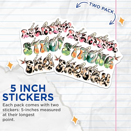 (2 Pack) Inspirational Quote Stickers - 5" On Longest Side - Sticks to Smooth Flat Surfaces - Made in USA - BMCS9043 - BMCS9043