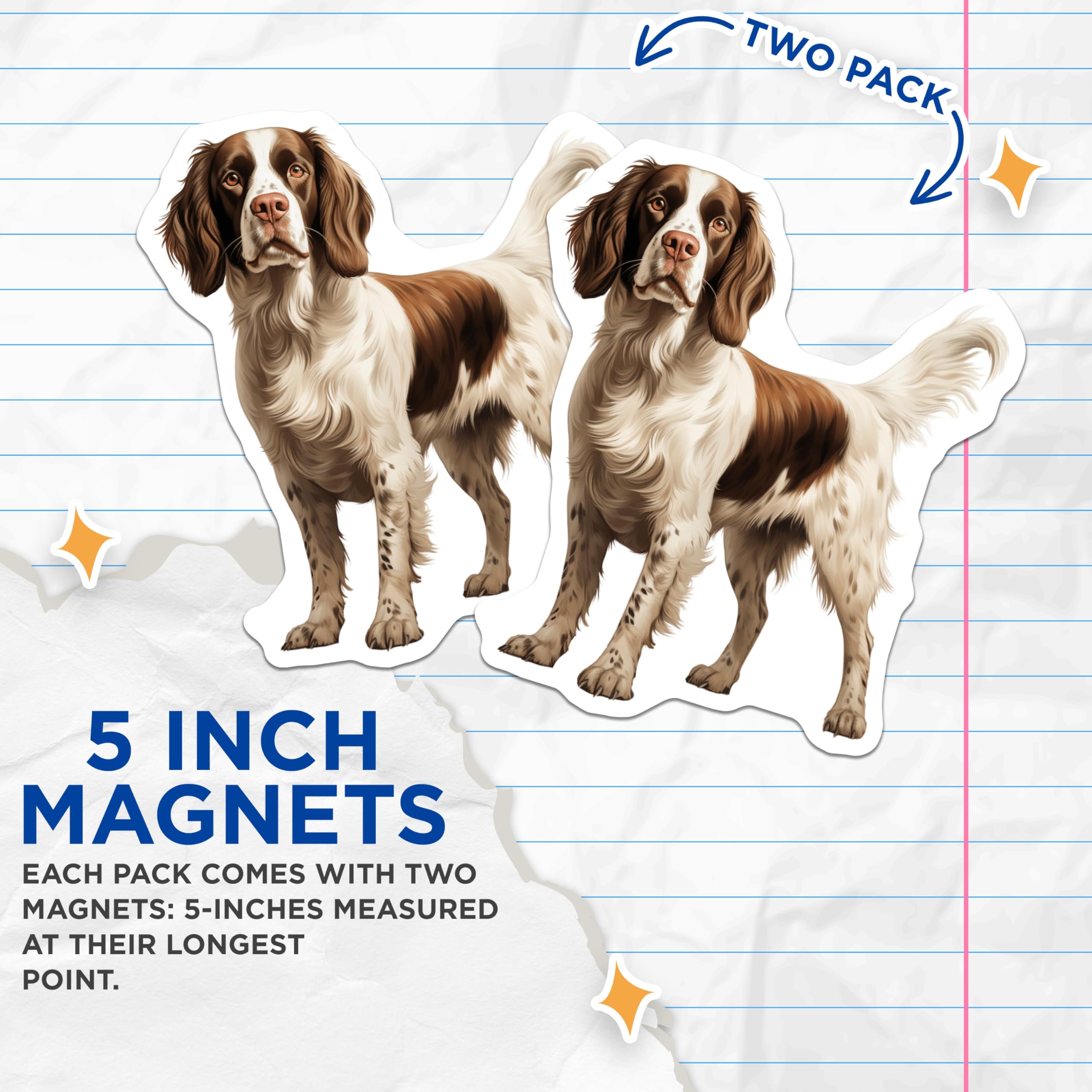 (2 Pack) Springer Spaniel Magnets - Dog Breed Artwork - Pet Owner Accessory - 5 Inches On Longest Side - Thick Durable Magnet - Made in USA - MAG25587