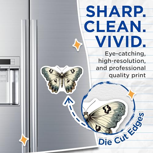 (2 Pack) Butterfly Decor Magnets - Butterfly Kitchen - Butterfly Art - 5" On Longest Side - for Cars, Refrigerators, Toolboxes, Lockers - Made in USA BMCS3390