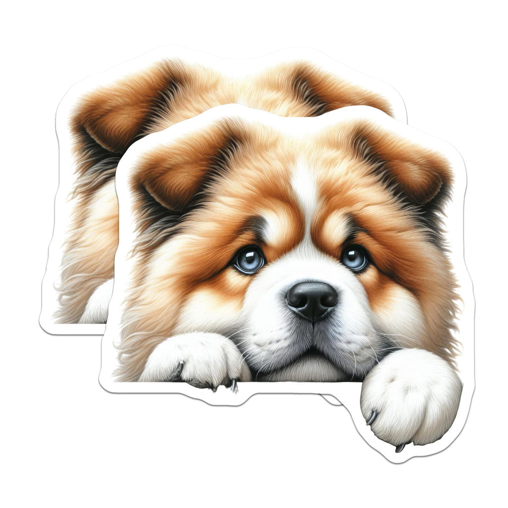(2 Pack) Cute Dog Magnets - Chow Chow Style Puppy - Refrigerator Magnets - 5" On Longest Side - Premium Magnet - for Cars, Refrigerators, Toolboxes, Lockers - Made in USA - MAG14894