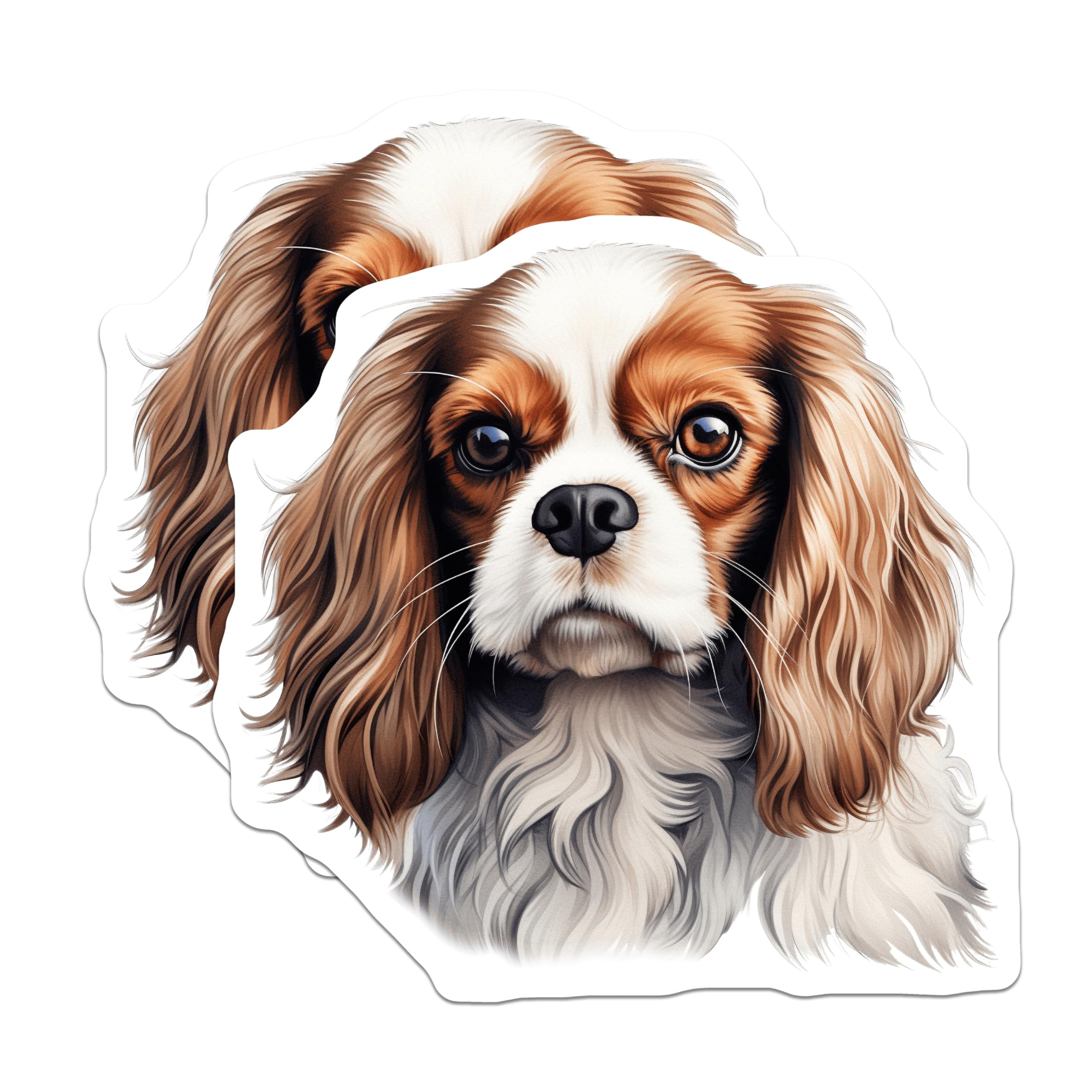(2 Pack) Cavalier King Charles Spaniel Magnets - Blenheim Dog Breed Art - Pet Lover Refrigerator Decor - 5 Inches On Longest Side - Thick Durable Magnet - Made in USA - MAG24919
