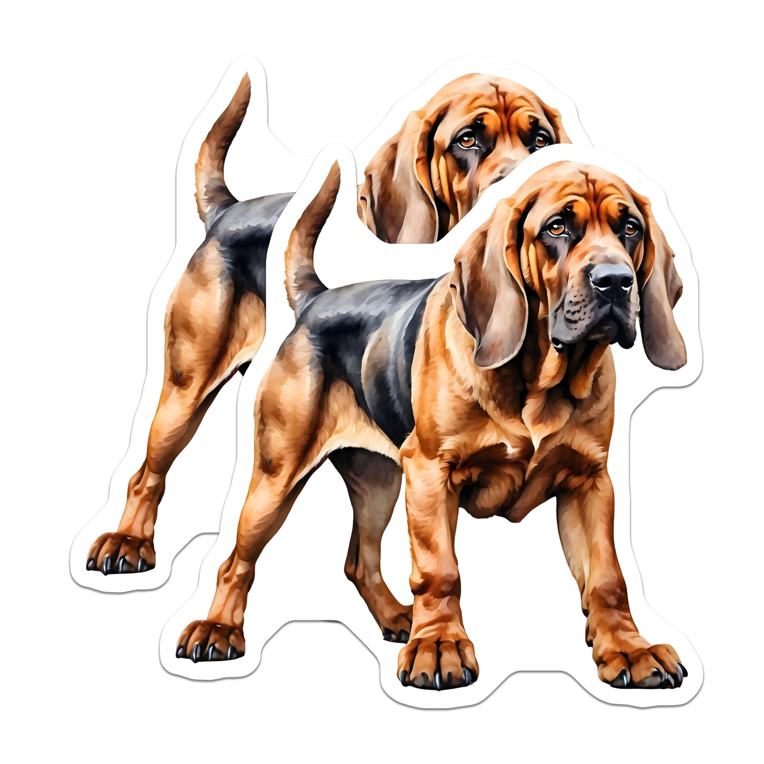 (2 Pack) Bloodhound Magnets - Dog Breed Art - Hound Dog Decor - 5" On Longest Side - Premium Magnet - for Cars, Refrigerators, Toolboxes, Lockers - Made in USA - MAG14637