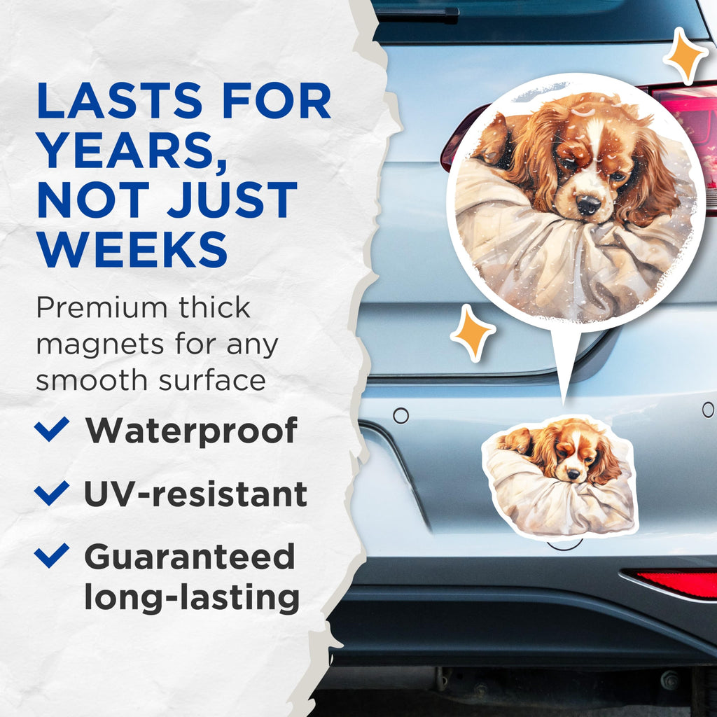 (2 Pack) Cavalier Spaniel Magnets - Sleeping Dog Breed - Refrigerator Decor - 5" On Longest Side - Premium Magnet - for Cars, Refrigerators, Toolboxes, Lockers - Made in USA - MAG17097