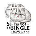 (2 Pack) I'm Not Single I Have A Cat Magnets - Funny Cat Lover Magnets - Cute Cat Statement Magnets - 5" On Longest Side - for Cars, Refrigerators, Toolboxes, Lockers - Made in USA BMCS3461