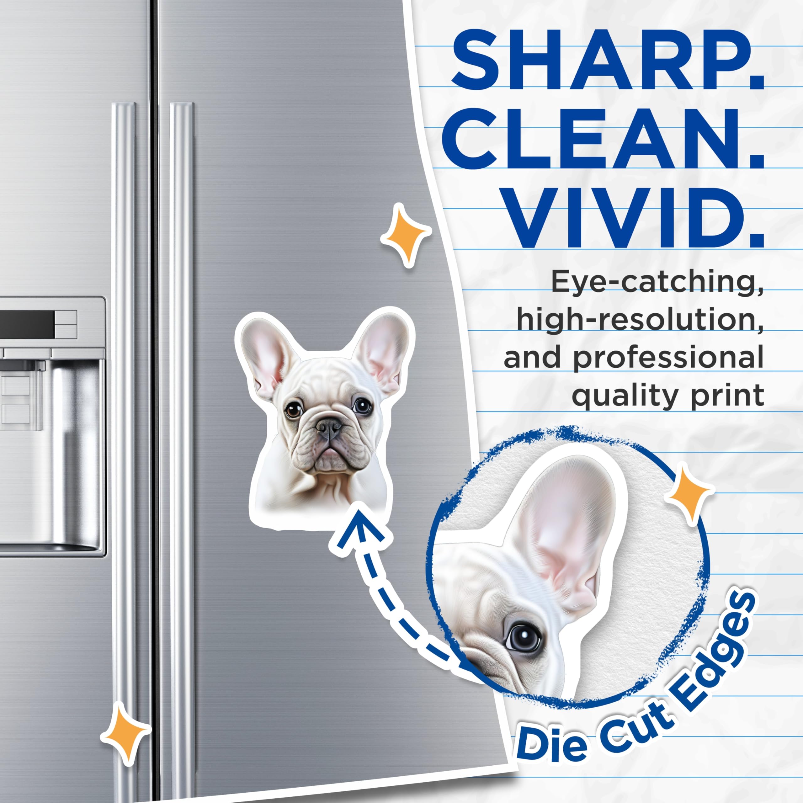 (2 Pack) French Bulldog Puppy Magnets - Adorable Frenchie Decor - Dog Owner Refrigerator Accessories - 5 Inches On Longest Side - Thick Durable Magnet - Made in USA - MAG28652