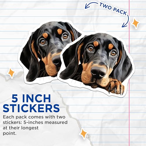 (2 Pack) Dog Lover Stickers - Hound Dog Art - Pet Sticker Decals for Laptops Water Bottles - 5" On Longest Side - Sticks to Smooth Flat Surfaces - Made in USA - BMCS9873