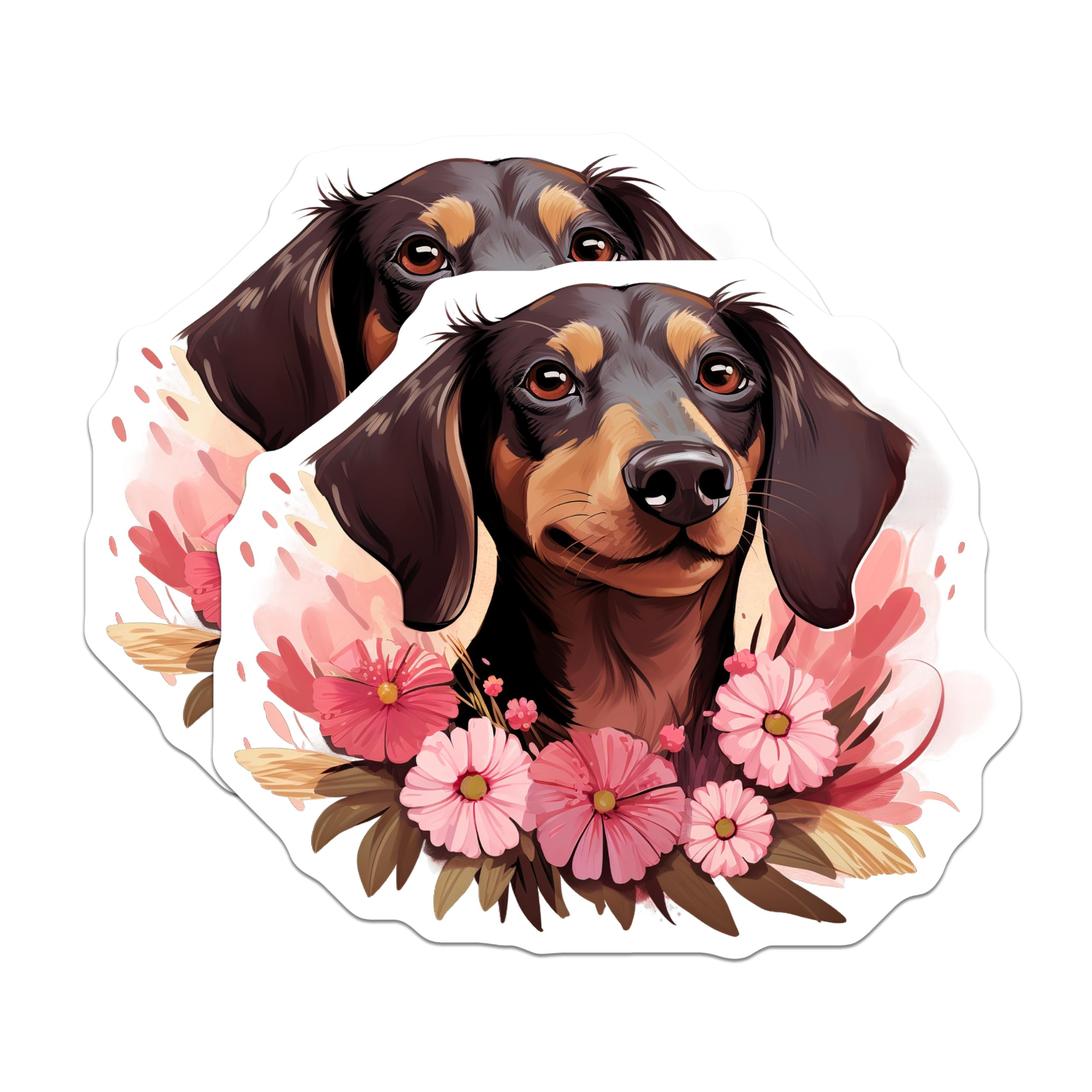 (2 Pack) Dachshund Dog Magnets - Adorable Floral Doxie Art Design - Pet Lover Refrigerator Home Kitchen Decor Accessory - 5 Inches On Longest Side - Thick Durable Magnet - Made in USA - MAG24314