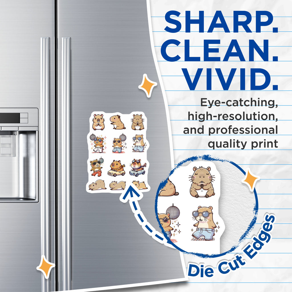 (2 Pack) Cute Capybara Magnets - Kawaii Animal Fridge Decor - Funny Disco Driving Meditation Car Magnets - 5 Inches On Longest Side - Thick Durable Magnet - Made in USA - MAG38252