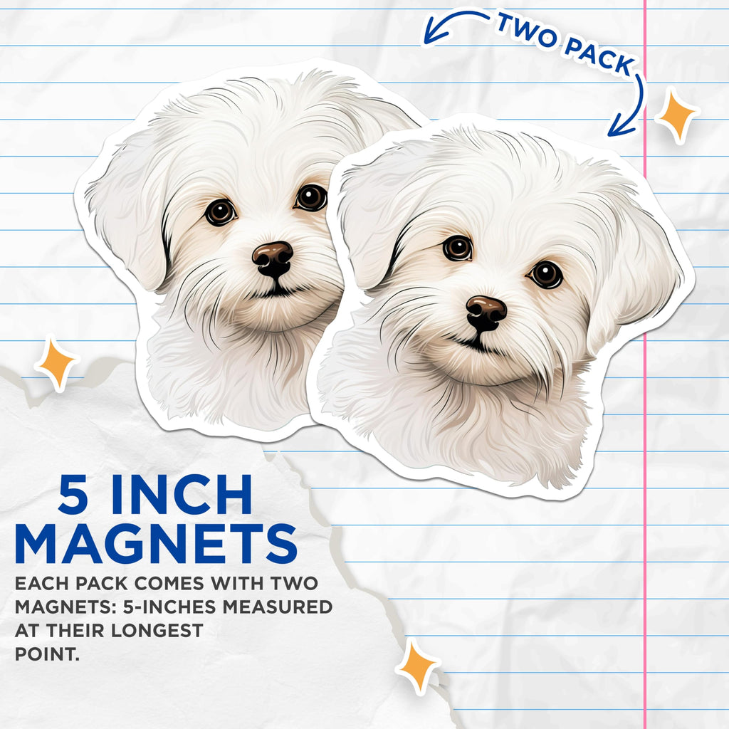 (2 Pack) Cute White Puppy Magnets - Maltese Dog Lover - Pet Owner Refrigerator Decor - 5 Inches On Longest Side - Thick Durable Magnet - Made in USA - MAG27419
