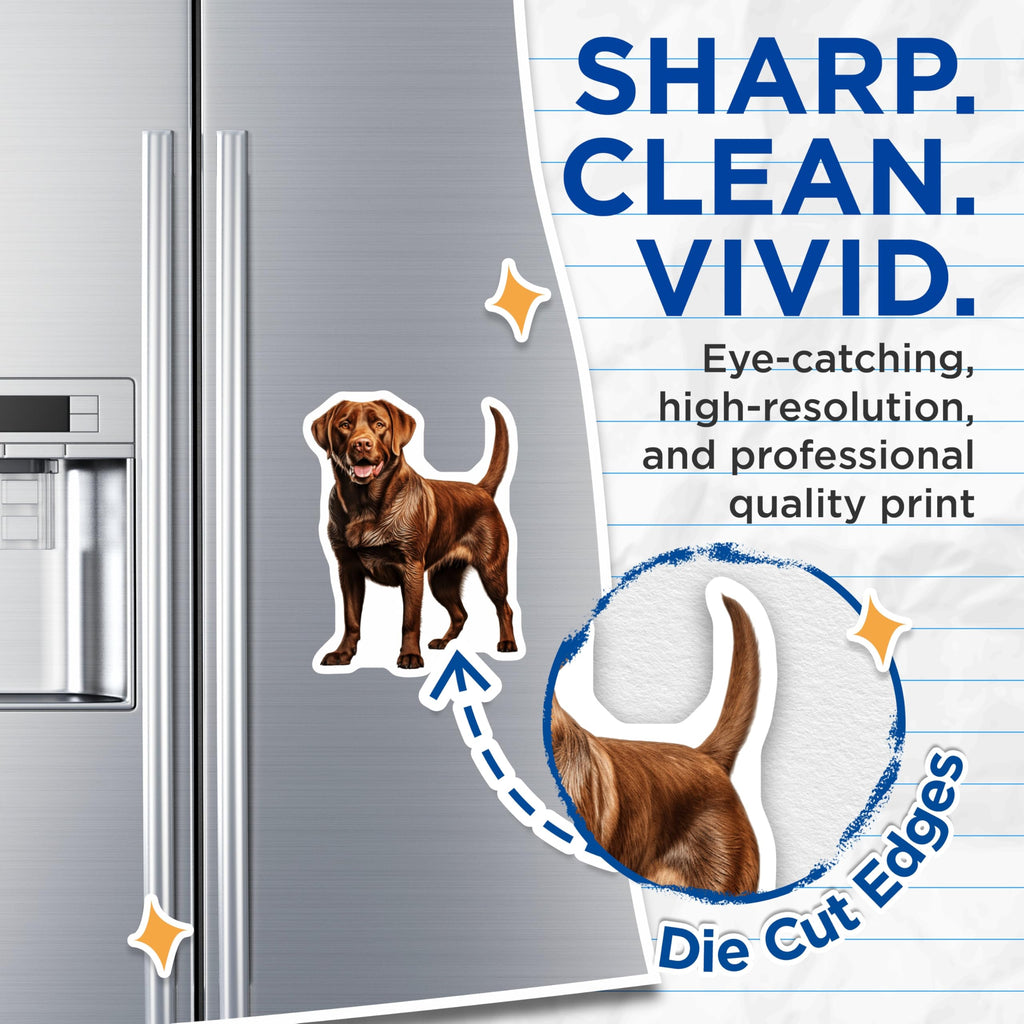 (2 Pack) Chocolate Labrador Magnets - Realistic Brown Lab Decor - Dog Lover Fridge Art - Pet Parent Owner Vehicle - 5 Inches On Longest Side - Thick Durable Magnet - Made in USA - MAG25778