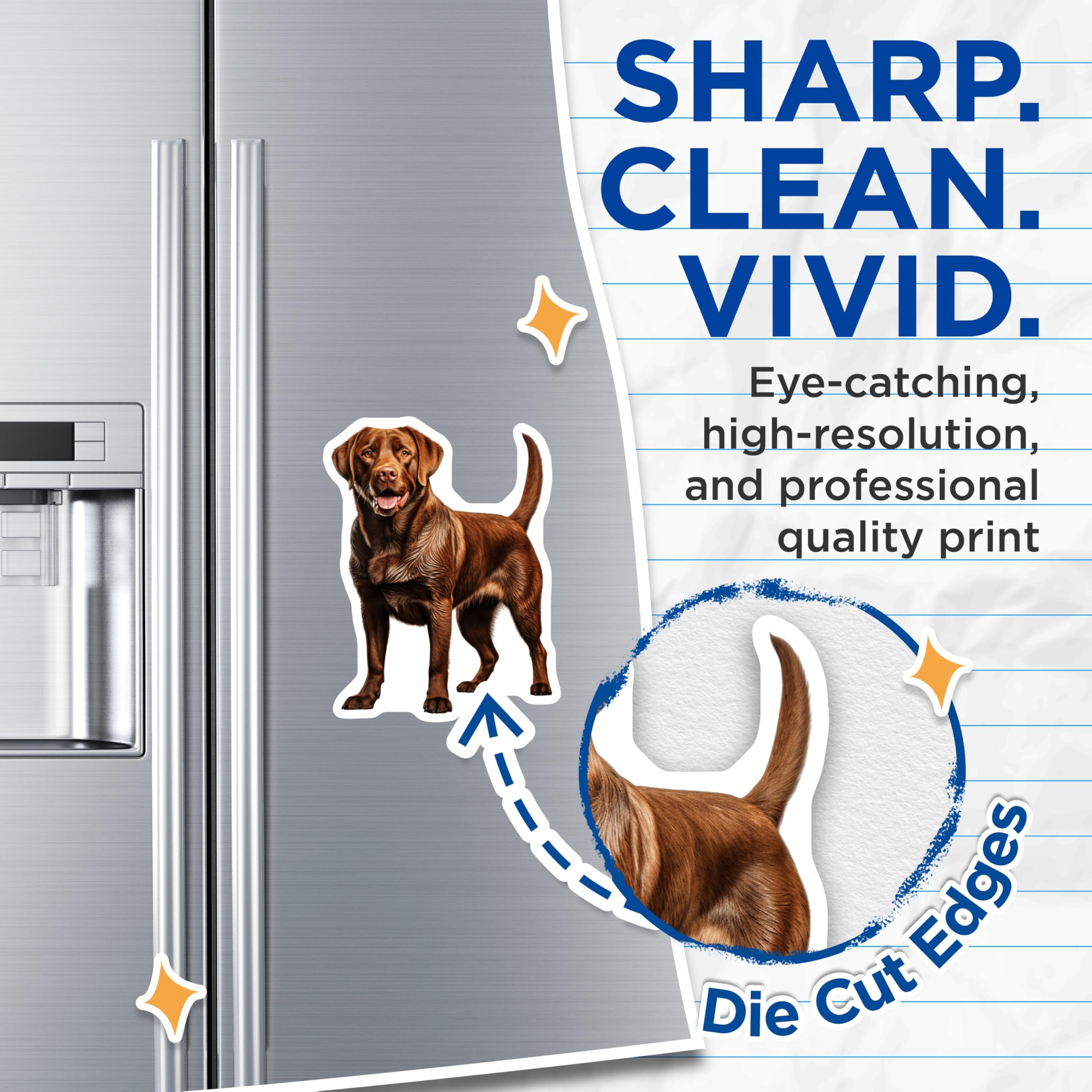(2 Pack) Chocolate Labrador Magnets - Realistic Brown Lab Decor - Dog Lover Fridge Art - Pet Parent Owner Vehicle - 5 Inches On Longest Side - Thick Durable Magnet - Made in USA - MAG25778