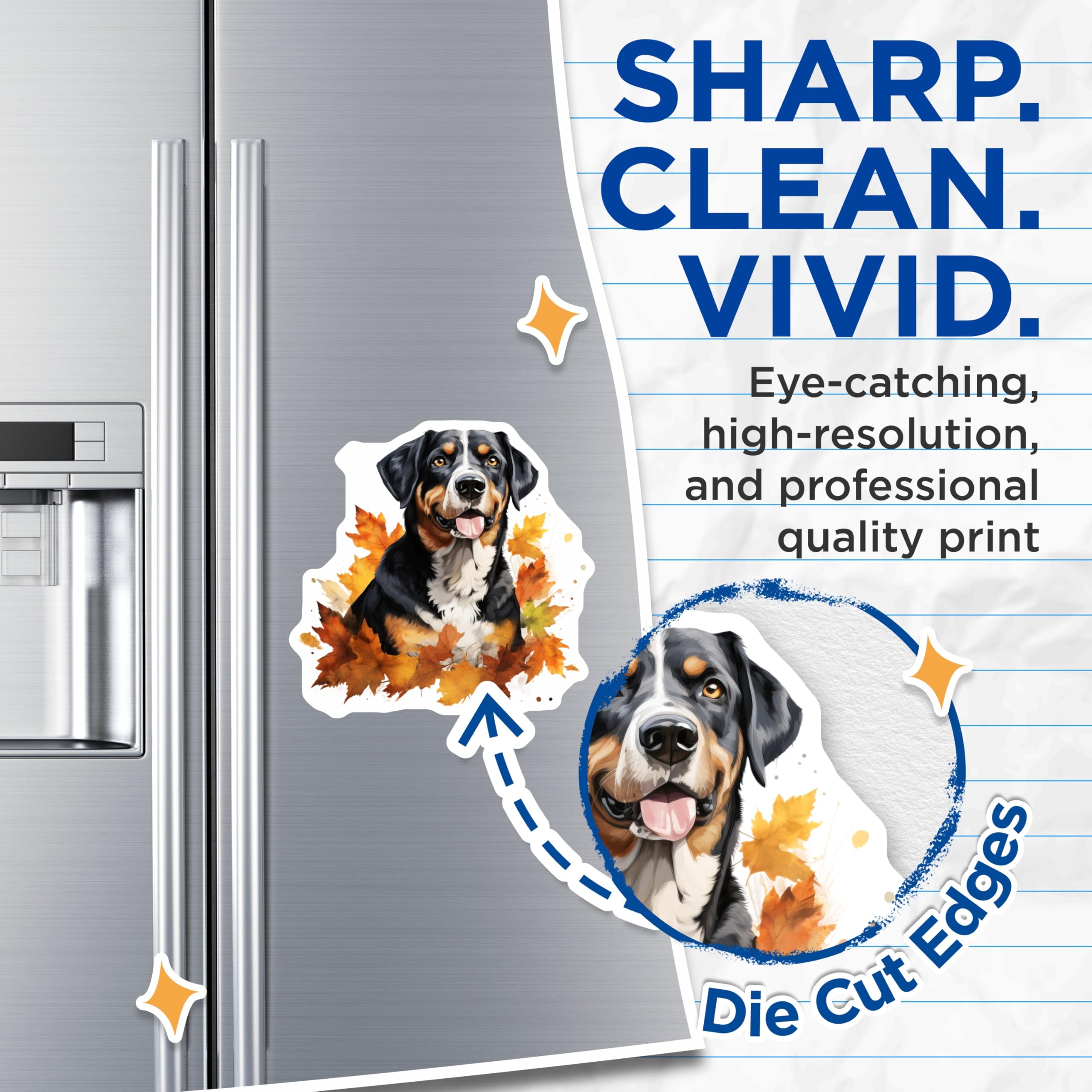 (2 Pack) Bernese Mountain Dog Magnets - Autumn Leaves Dog Art - Pet Owner Refrigerator Decor - 5 Inches On Longest Side - Thick Durable Magnet - Made in USA - MAG25039