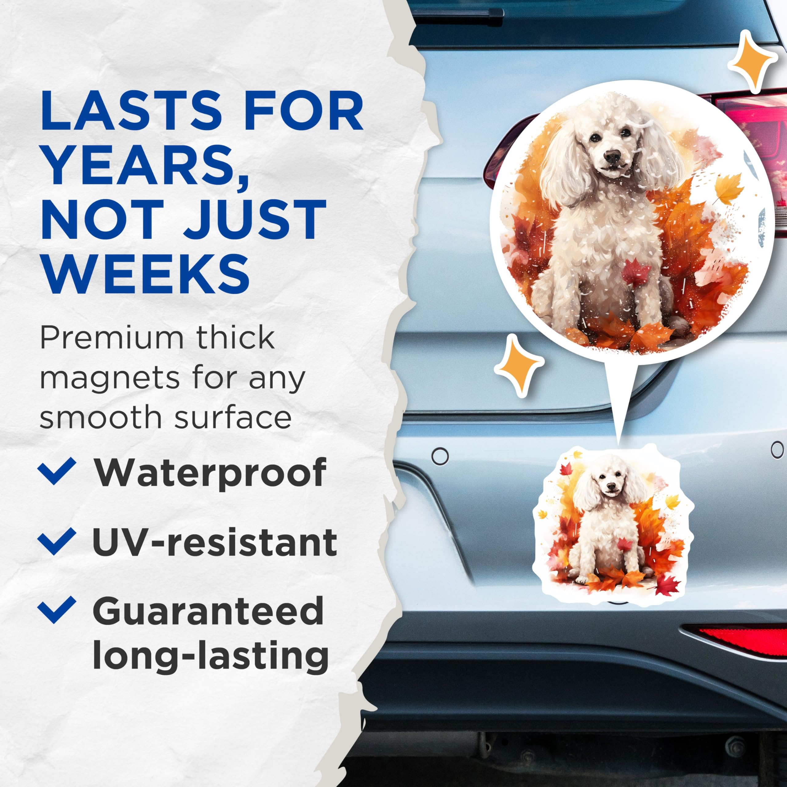 (2 Pack) White Poodle Magnets - Autumn Dog Lover Decor - Fall Season Pet Owner Present - 5 Inches On Longest Side - Thick Durable Magnet - Made in USA - MAG26892
