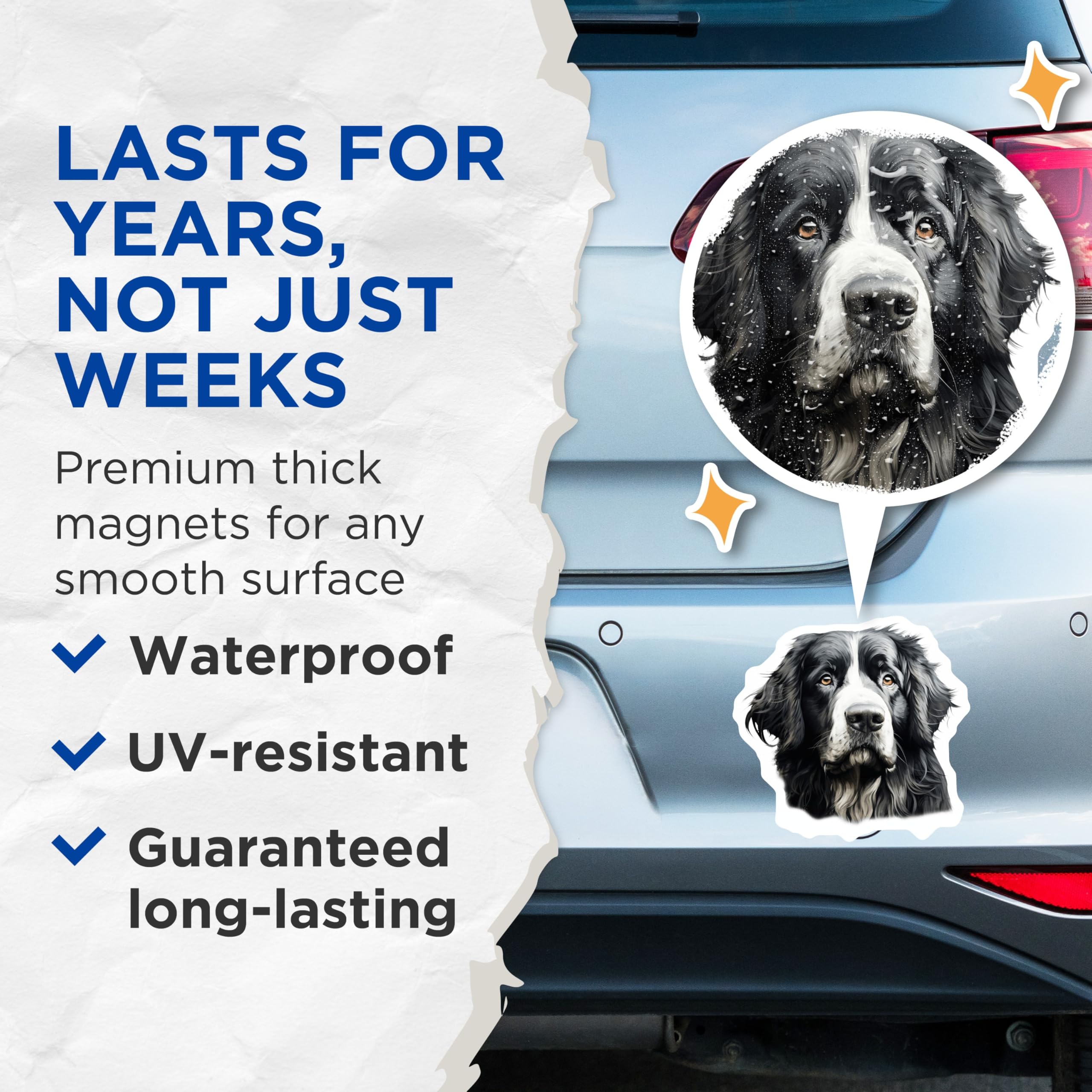 (2 Pack) Bernese Mountain Dog Magnets - Dog Lover Decor - Pet Owner Accessory - 5 Inches On Longest Side - Thick Durable Magnet - Made in USA - MAG30481